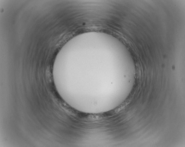 X0000077400764200611172104