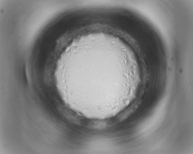 X0000077400765200611172104