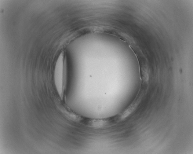 X0000077400766200611172104