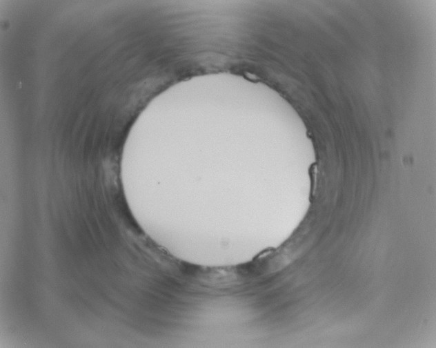 X0000077400768200611172104