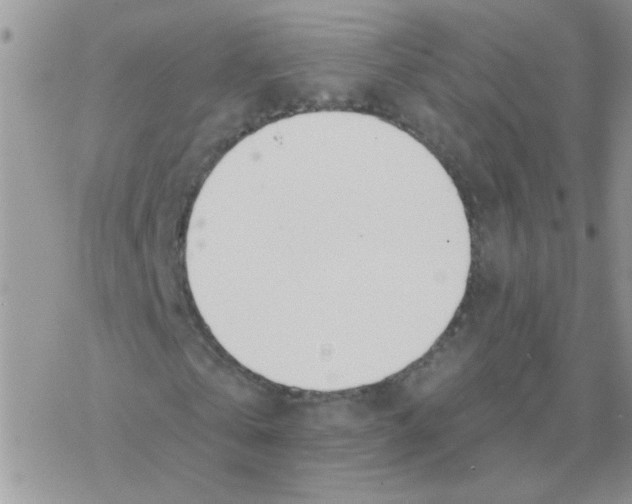 X0000077400769200611172103