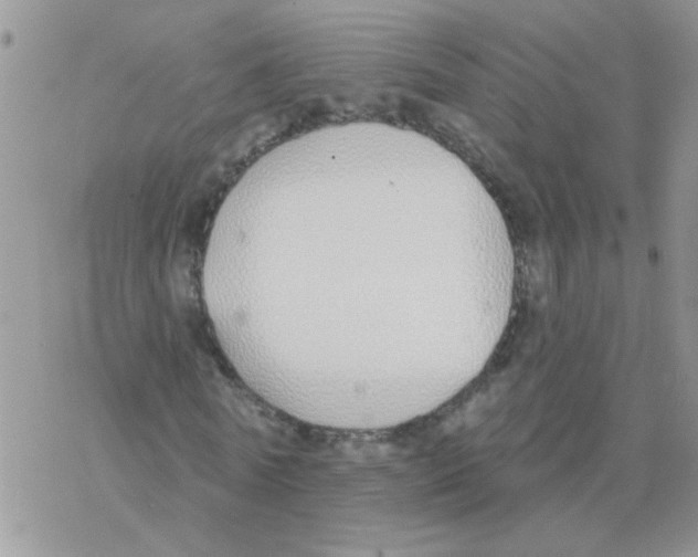 X0000077400770200611172103