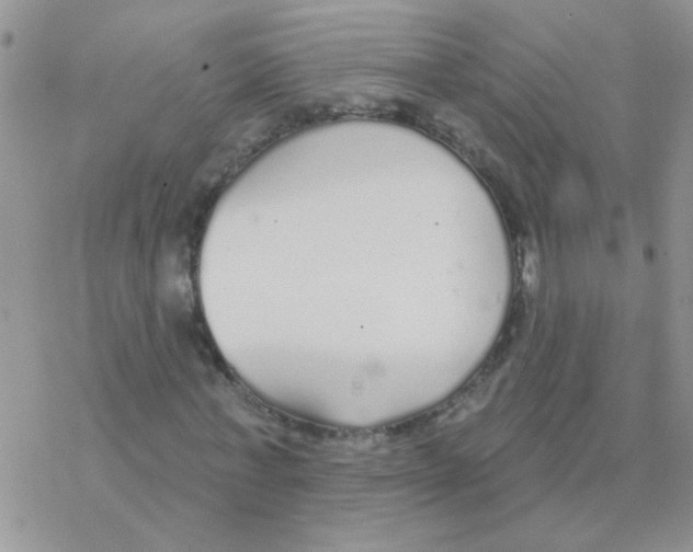 X0000077400771200611172103