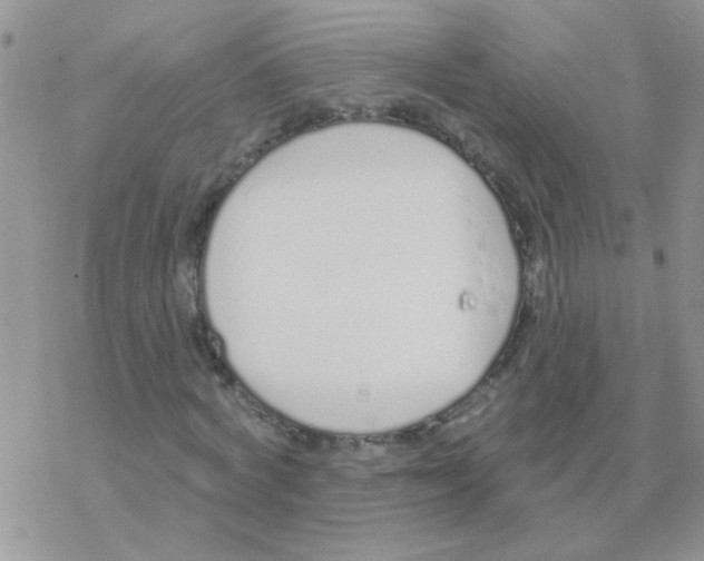 X0000077400772200611172103