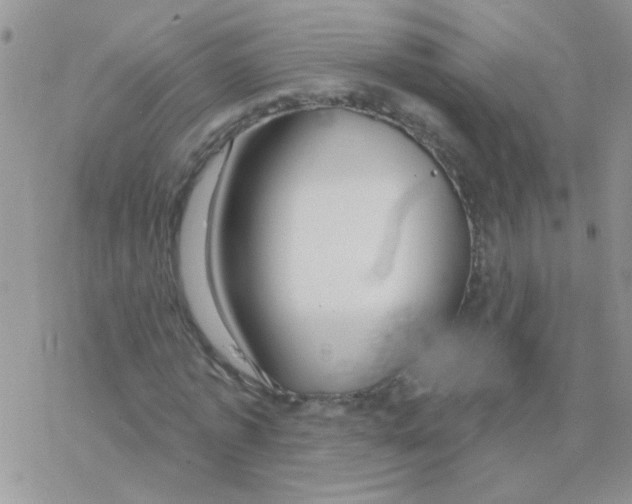 X0000077400773200611172103