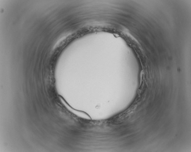 X0000077400775200611172103