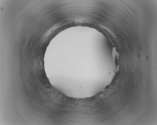 X0000077400776200611172103