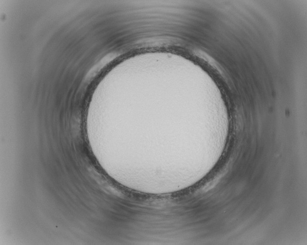 X0000077400778200611172103