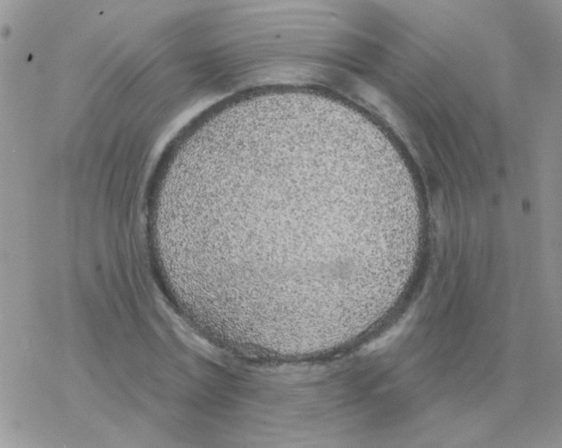 X0000077400779200611172103