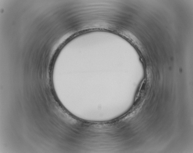 X0000077400780200611172103