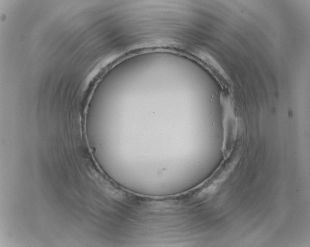 X0000077400781200611172103