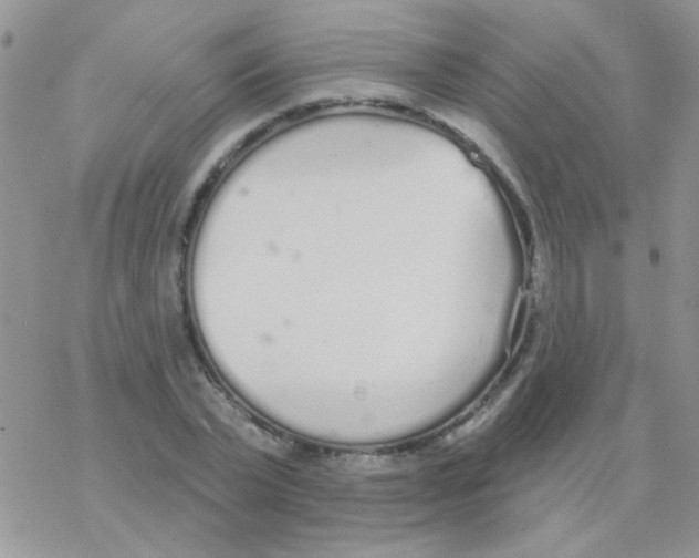 X0000077400783200611172103