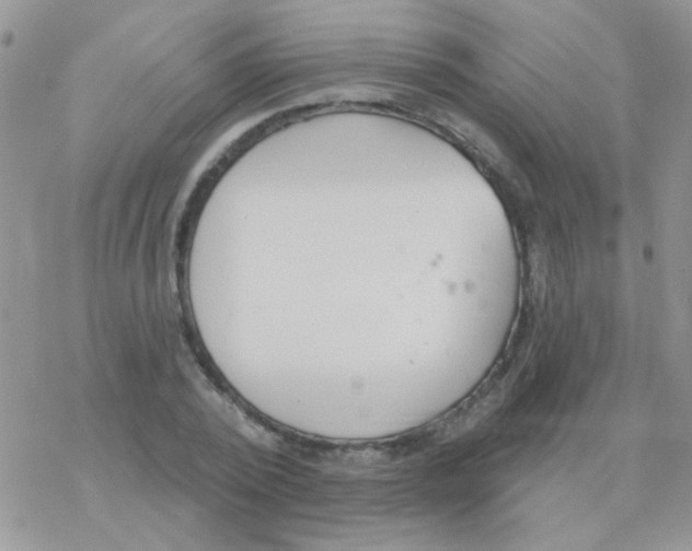 X0000077400784200611172103