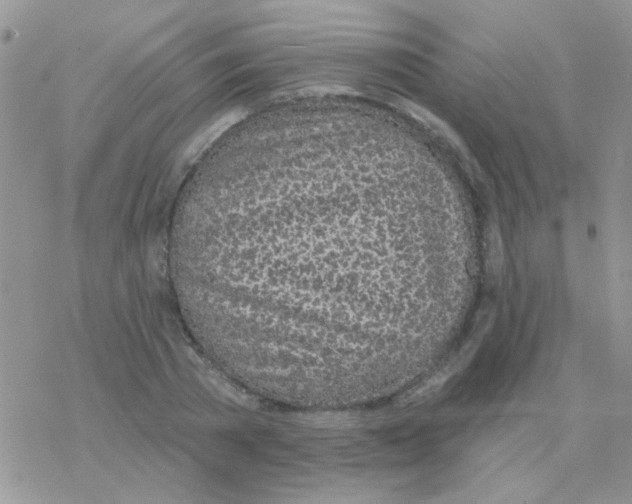 X0000077400785200611172103