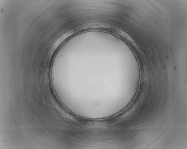 X0000077400786200611172103