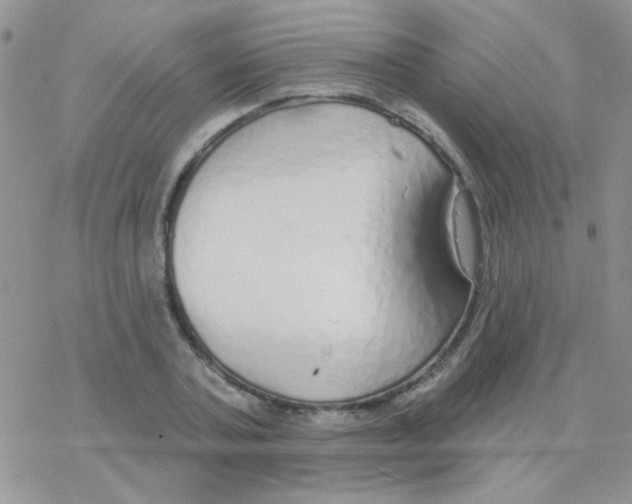 X0000077400787200611172103