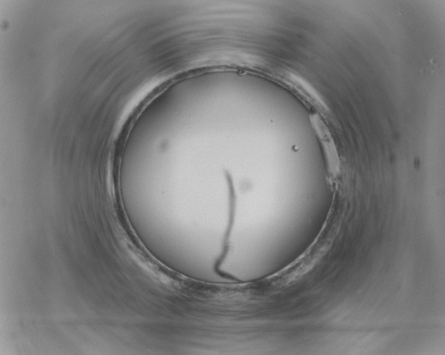 X0000077400788200611172103