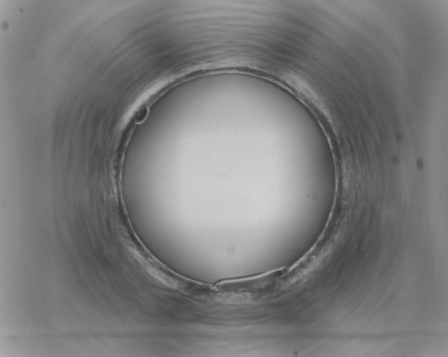 X0000077400789200611172103