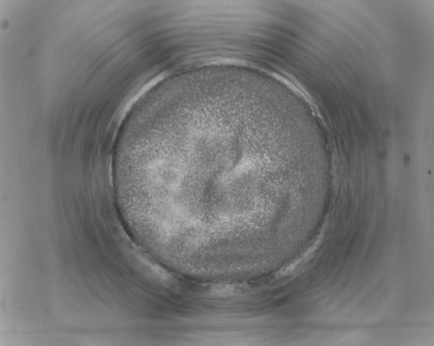 X0000077400790200611172103