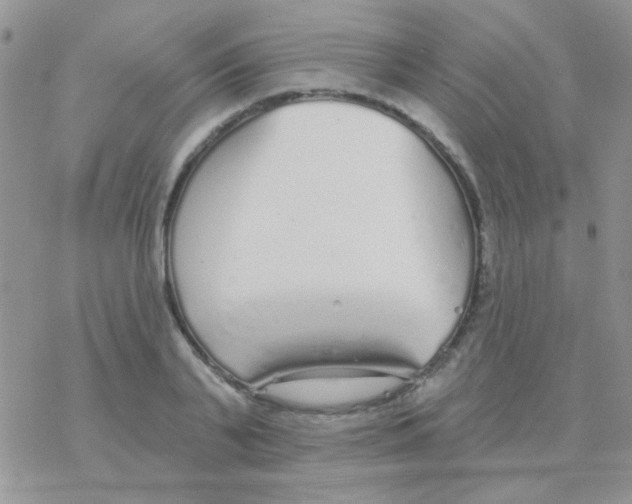 X0000077400791200611172103