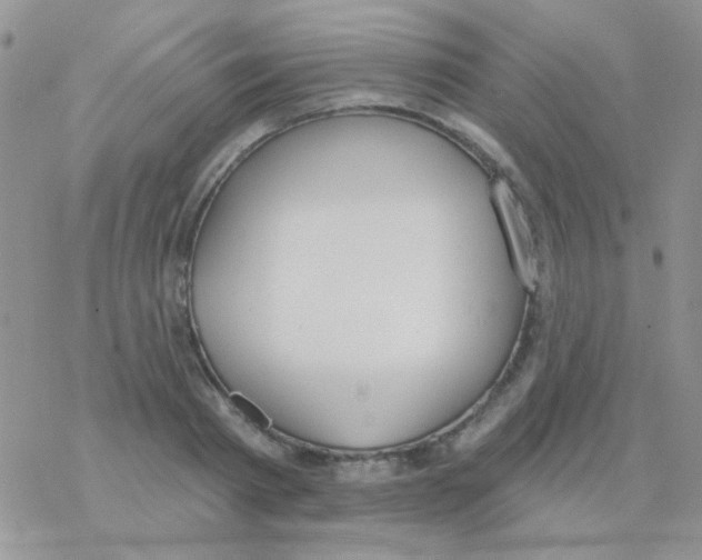 X0000077400793200611172103