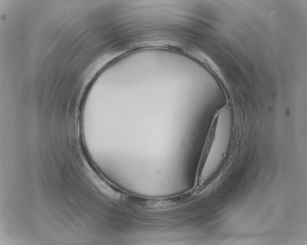 X0000077400795200611172103