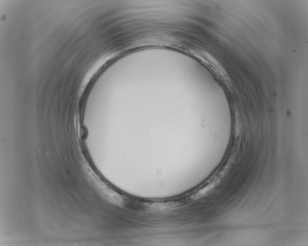 X0000077400796200611172103