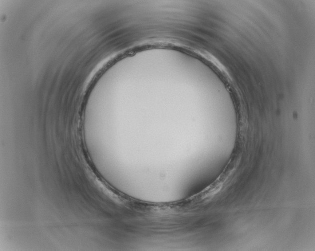 X0000077400799200611172103