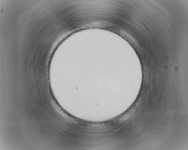 X0000077400800200611172103