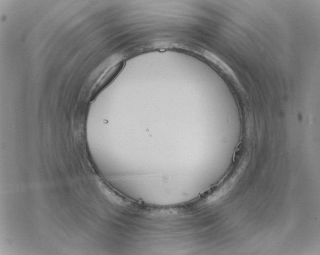 X0000077400801200611172102