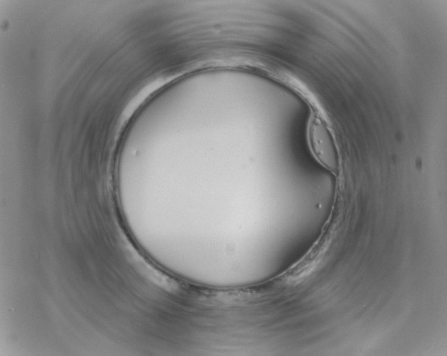 X0000077400803200611172102