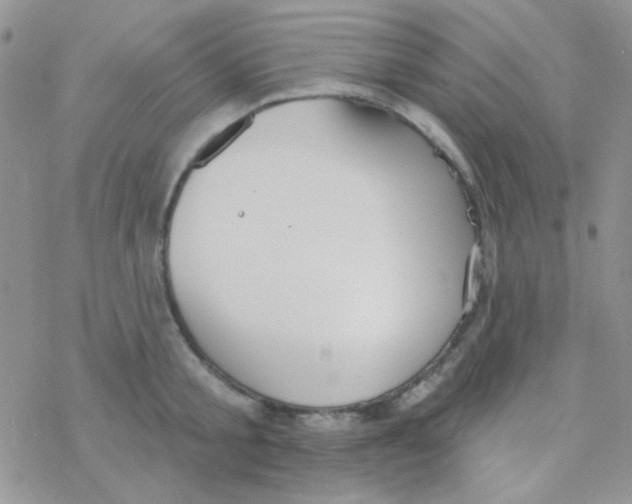 X0000077400805200611172102