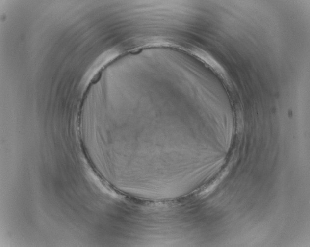 X0000077400806200611172102