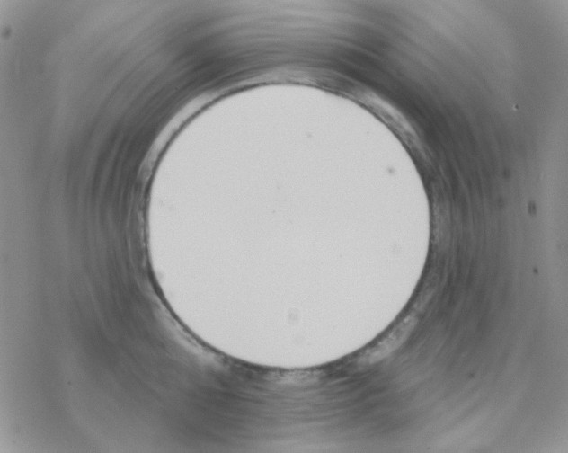 X0000077400808200611172102