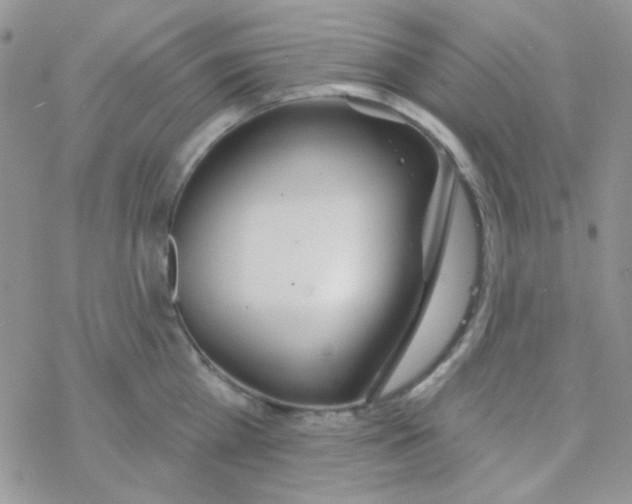 X0000077400809200611172102