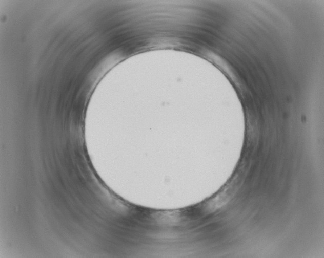 X0000077400810200611172102