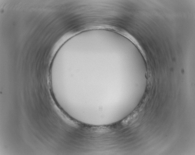 X0000077400811200611172102