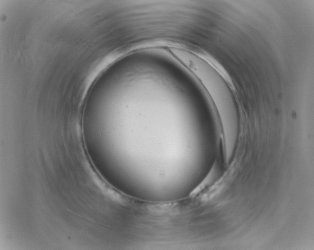 X0000077400813200611172102