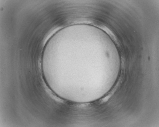 X0000077400814200611172102