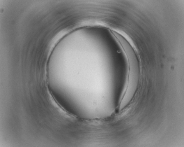 X0000077400815200611172102