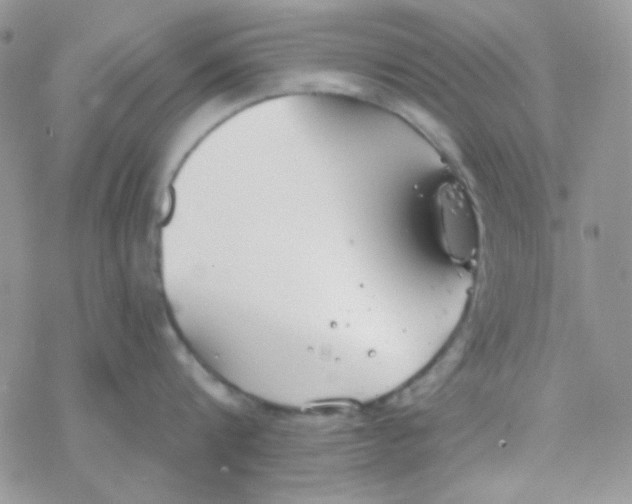 X0000077400816200611172102