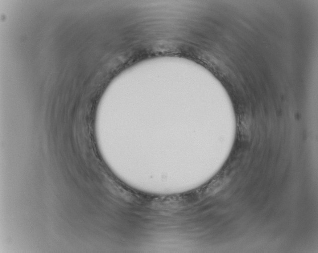 X0000077400817200611172101