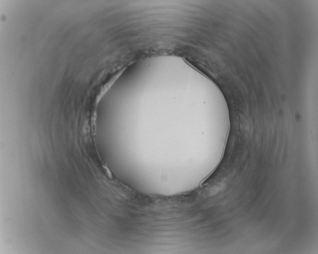 X0000077400818200611172101