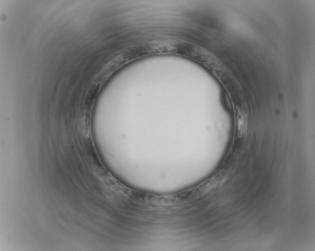 X0000077400819200611172102