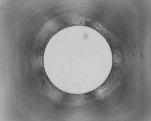 X0000077400820200611172102