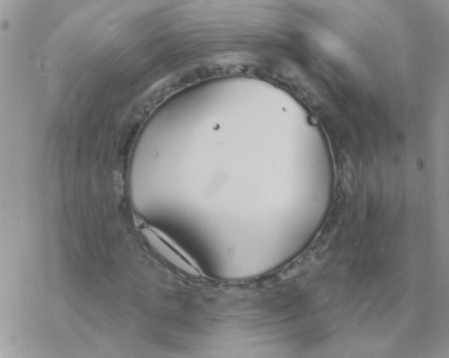 X0000077400821200611172102