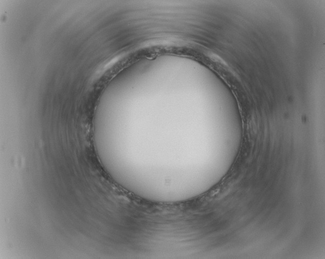 X0000077400822200611172102