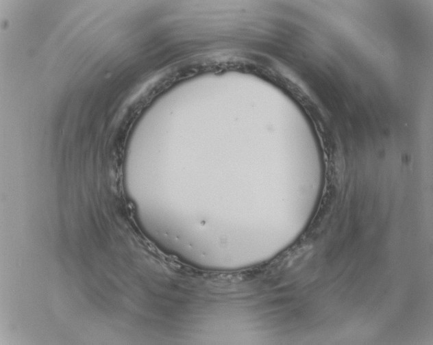 X0000077400823200611172102