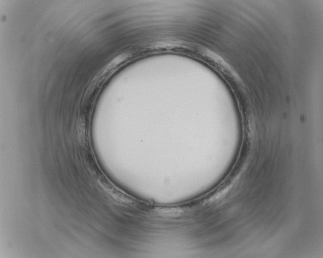 X0000077400825200611172102