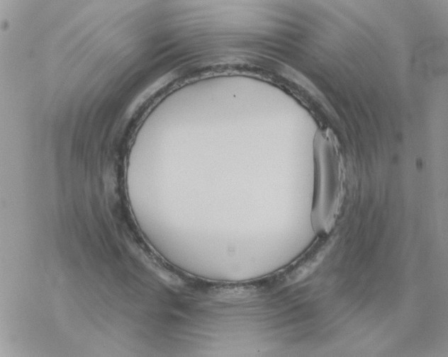 X0000077400826200611172102